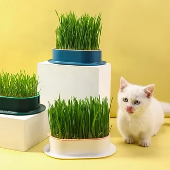 Гидропонный кутия за засаждане на коча Cat Snack, съд за котешка трева, Контрастен на цвета на Гидропонный, определени за засаждане на котешка трева Catgrass