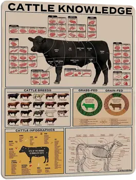 Метална лидице знак Cattle Knowledge, информационен плакат за породата, училищен образователен декорация за стени на анатомични клуб животновъдни ферми.